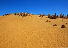 Pack Perth en Français : 4 jours