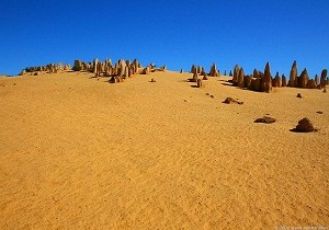 Pack Perth en Français : 4 jours